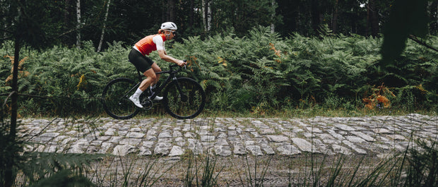 Specialized S-Works Roubaix SL8 Frameset